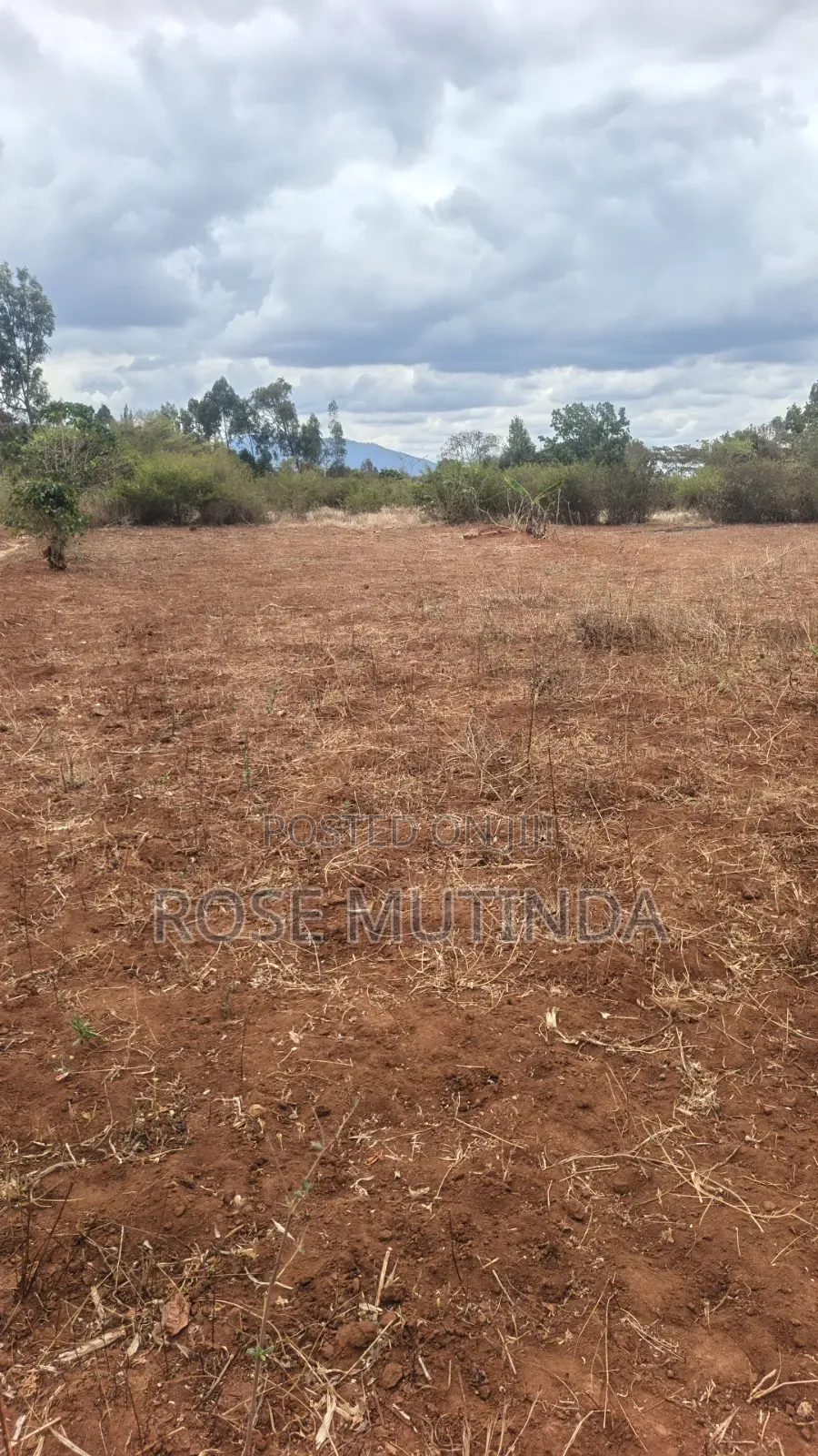 1acre in Tala