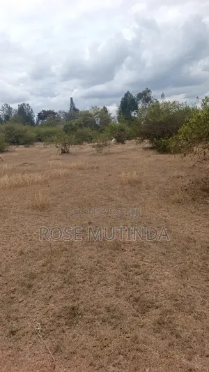 1acre in Tala
