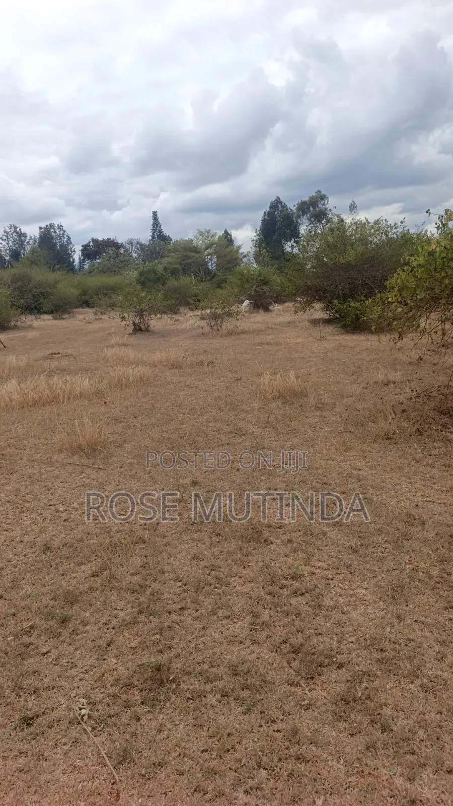 1acre in Tala