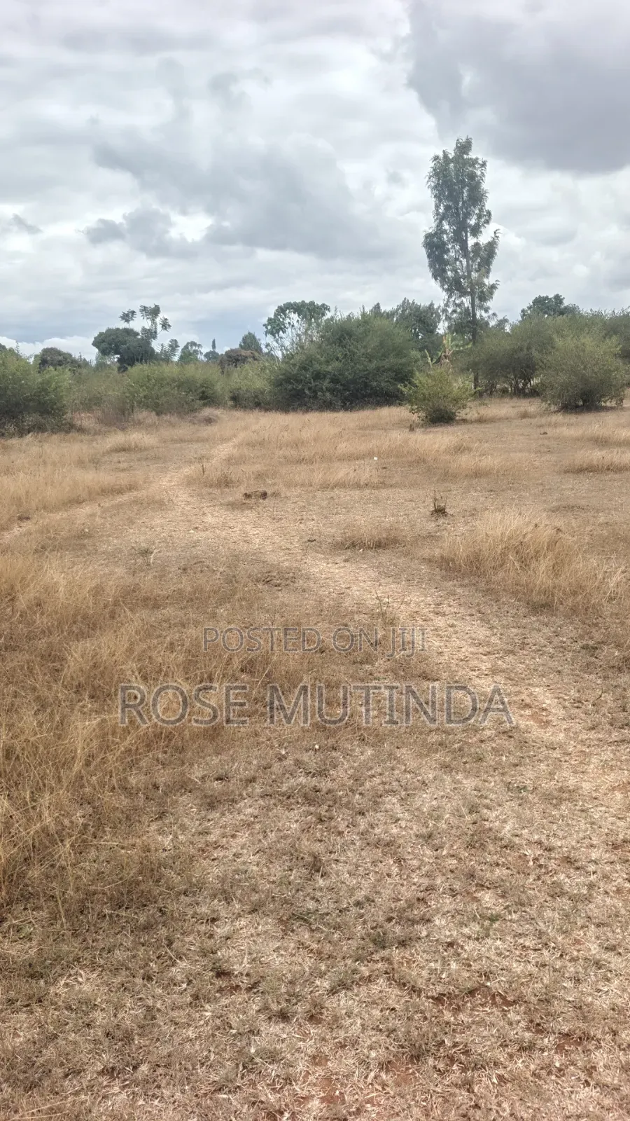 1acre in Tala