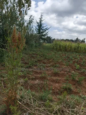 1.5prime Land for Lease in Nyahururu Highway