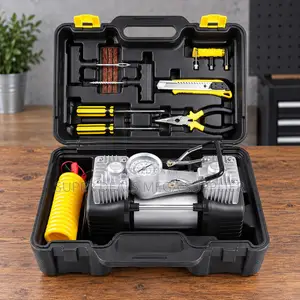 Wholesale Offers 12V Double Cylinder Car Air Compressor Pump