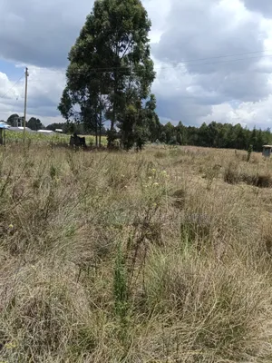 10 Prime Land for Sale in Kasuku Nyahururu