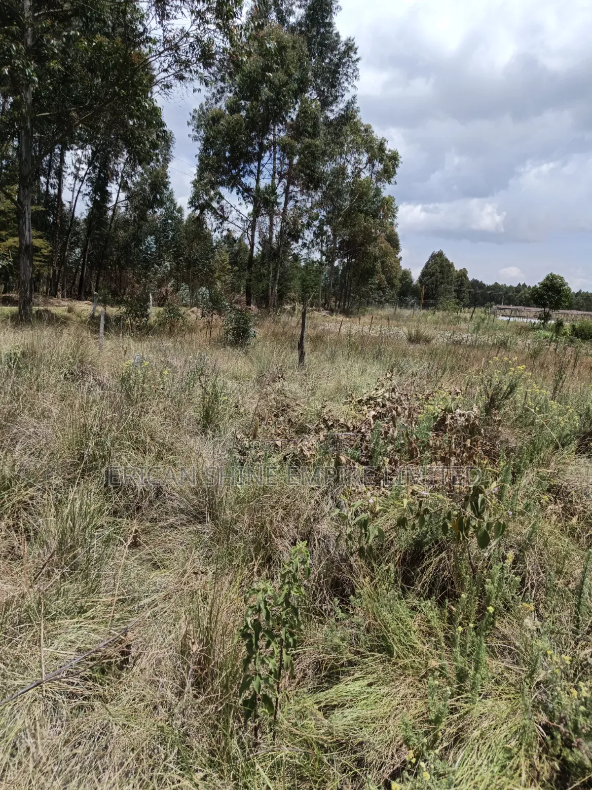 10 Prime Land for Sale in Kasuku Nyahururu