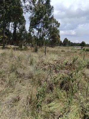 10 Prime Land for Sale in Kasuku Nyahururu