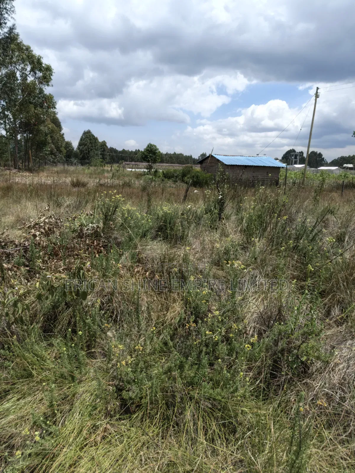 10 Prime Land for Sale in Kasuku Nyahururu