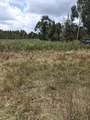 10 Prime Land for Sale in Kasuku Nyahururu