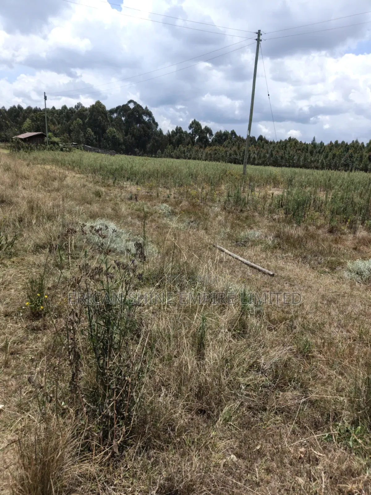 10 Prime Land for Sale in Kasuku Nyahururu