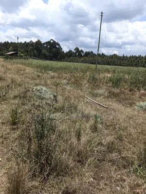10 Prime Land for Sale in Kasuku Nyahururu