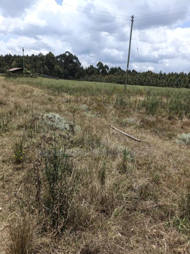 10 Prime Land for Sale in Kasuku Nyahururu - thumbnail 5