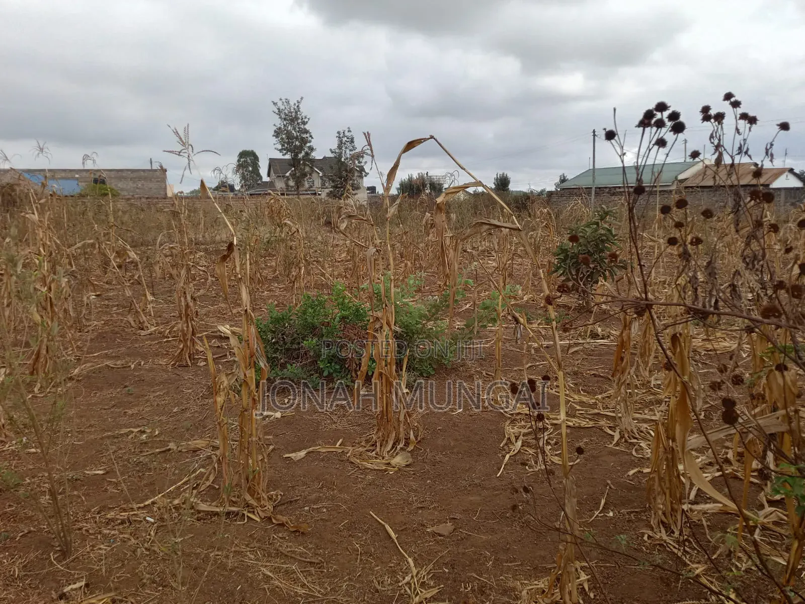 50 by 100 Land for Sale . Gatuanyaga, Thika, Kiambu