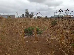 50 by 100 Land for Sale . Gatuanyaga, Thika, Kiambu
