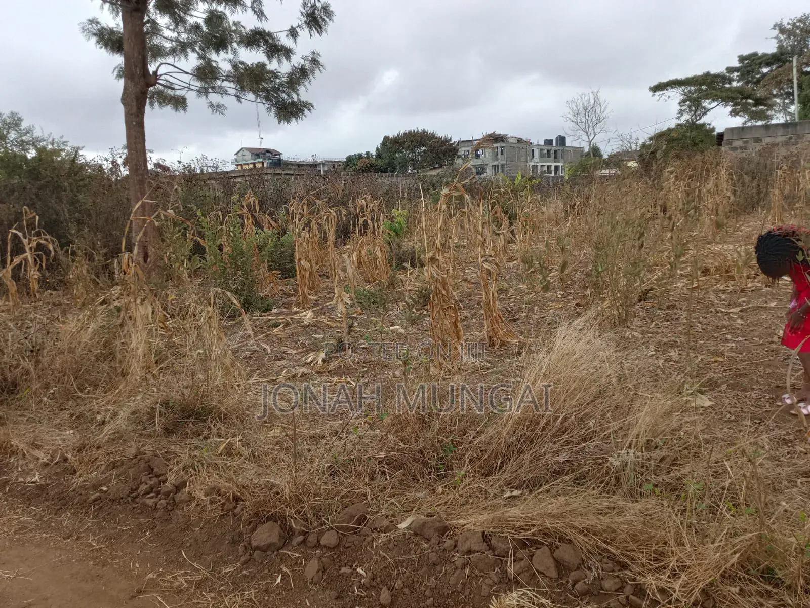 50 by 100 Land for Sale . Gatuanyaga, Thika, Kiambu