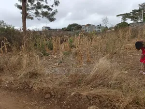 50 by 100 Land for Sale . Gatuanyaga, Thika, Kiambu