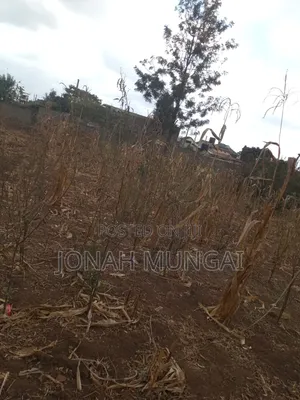 50 by 100 Land for Sale . Gatuanyaga, Thika, Kiambu