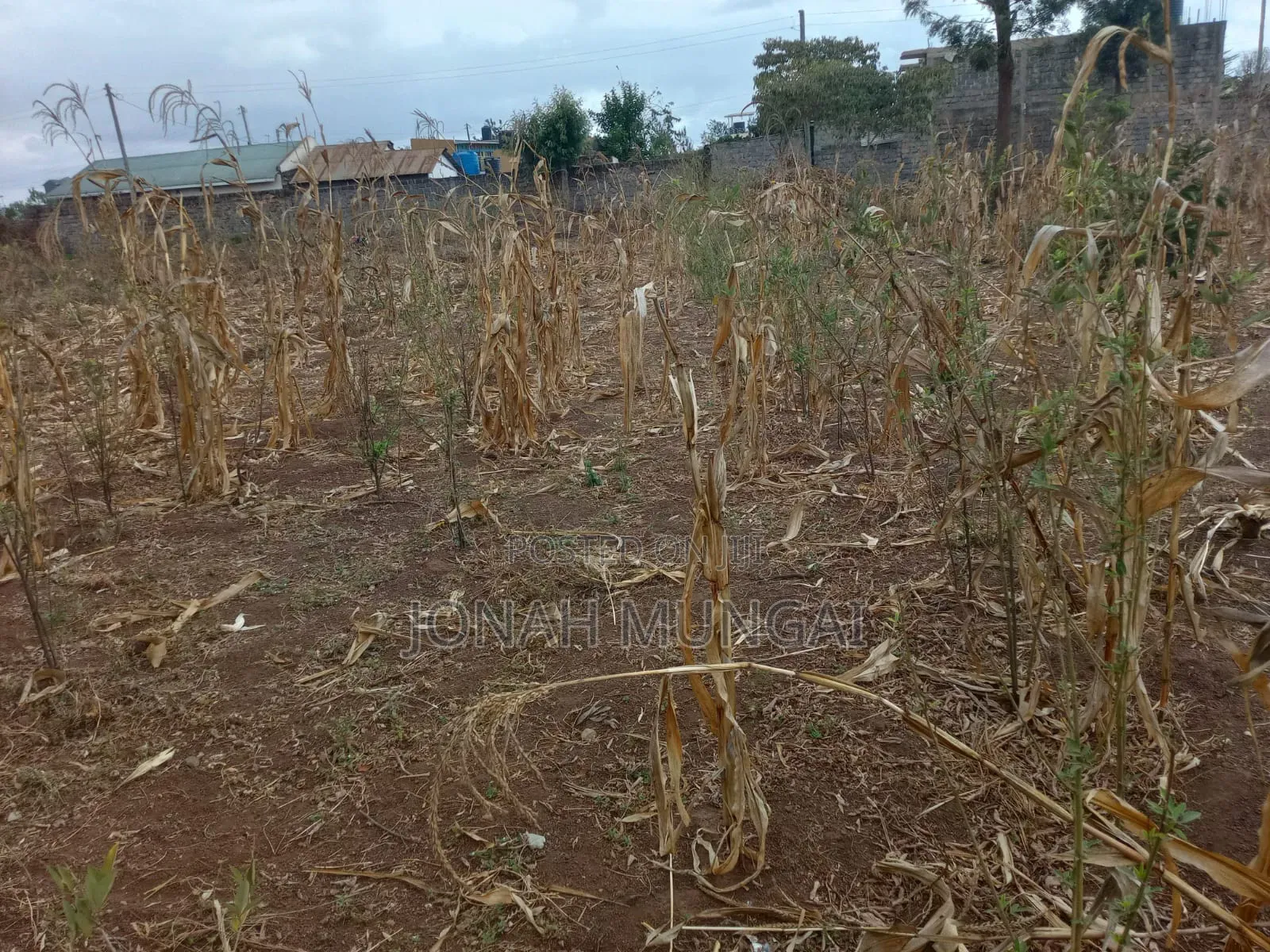 50 by 100 Land for Sale . Gatuanyaga, Thika, Kiambu