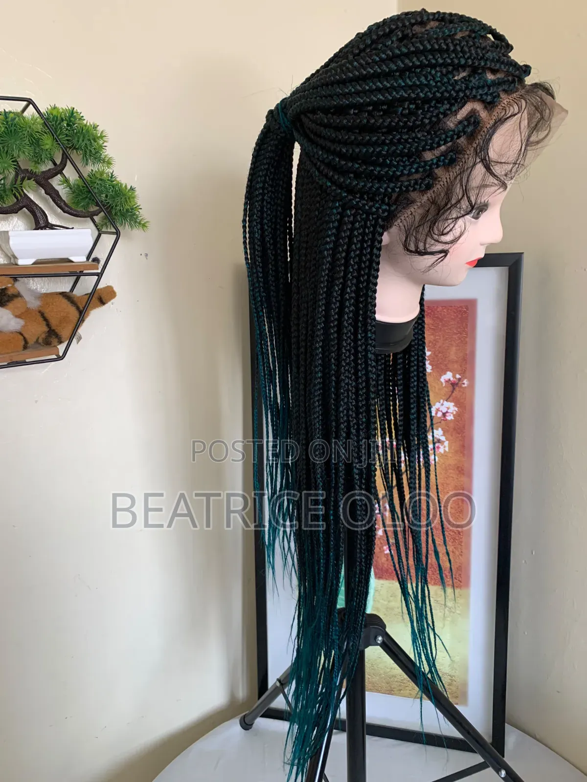 Braided Wig