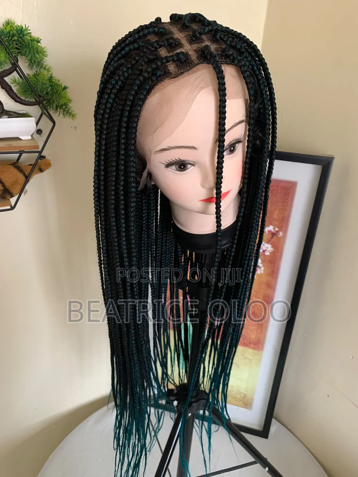 Braided Wig