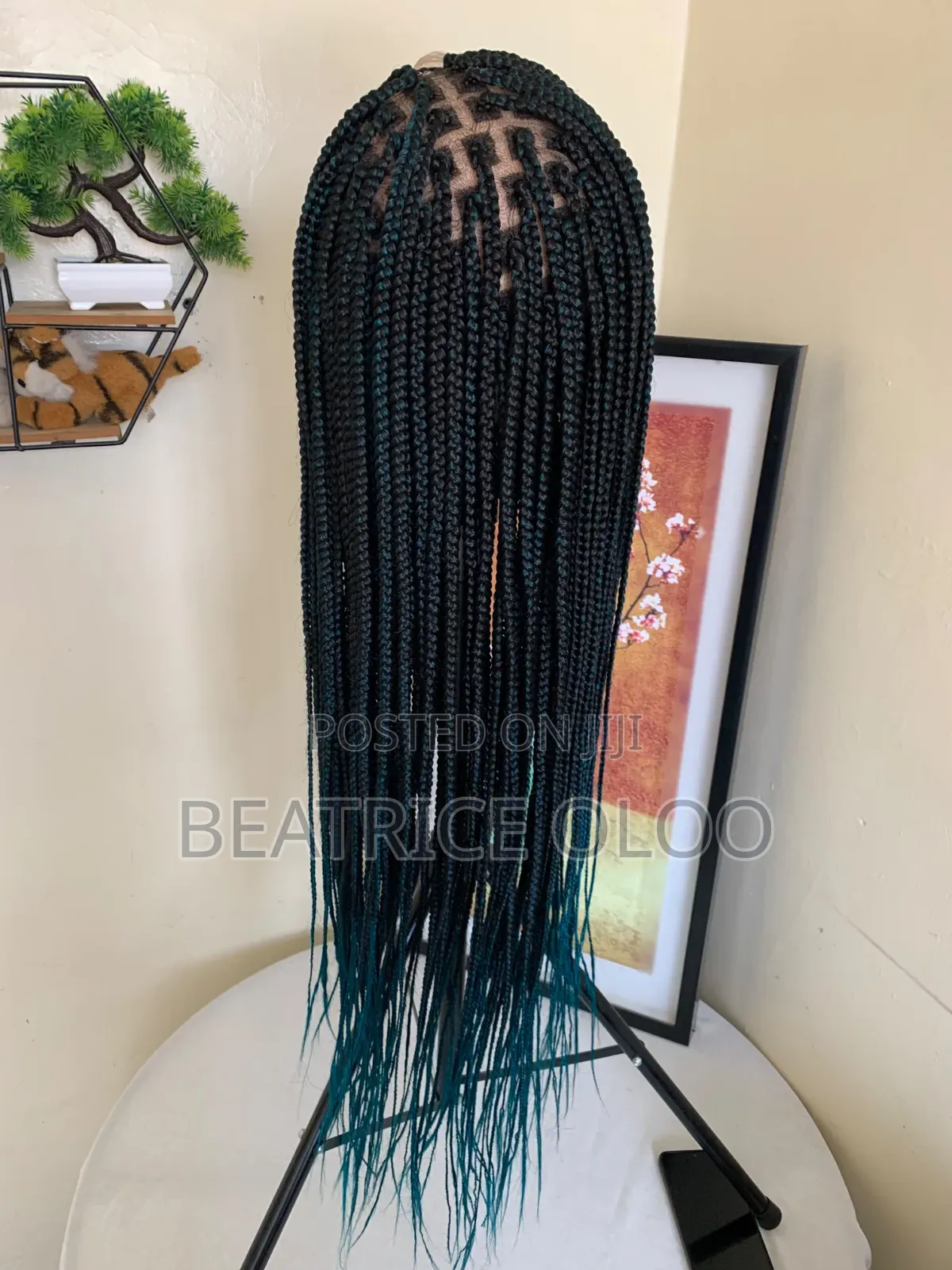 Braided Wig
