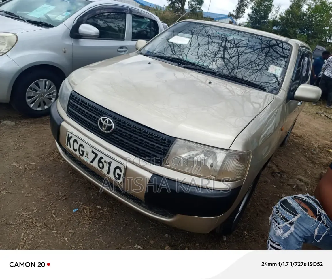Toyota Probox 2008 Beige