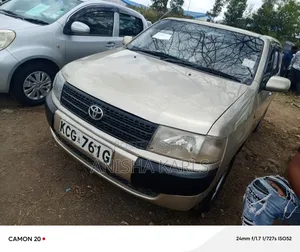 Toyota Probox 2008 Beige