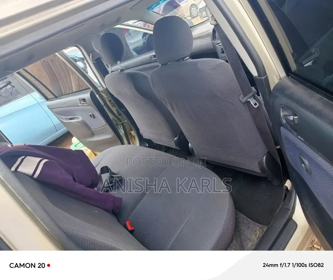 Toyota Probox 2008 Beige