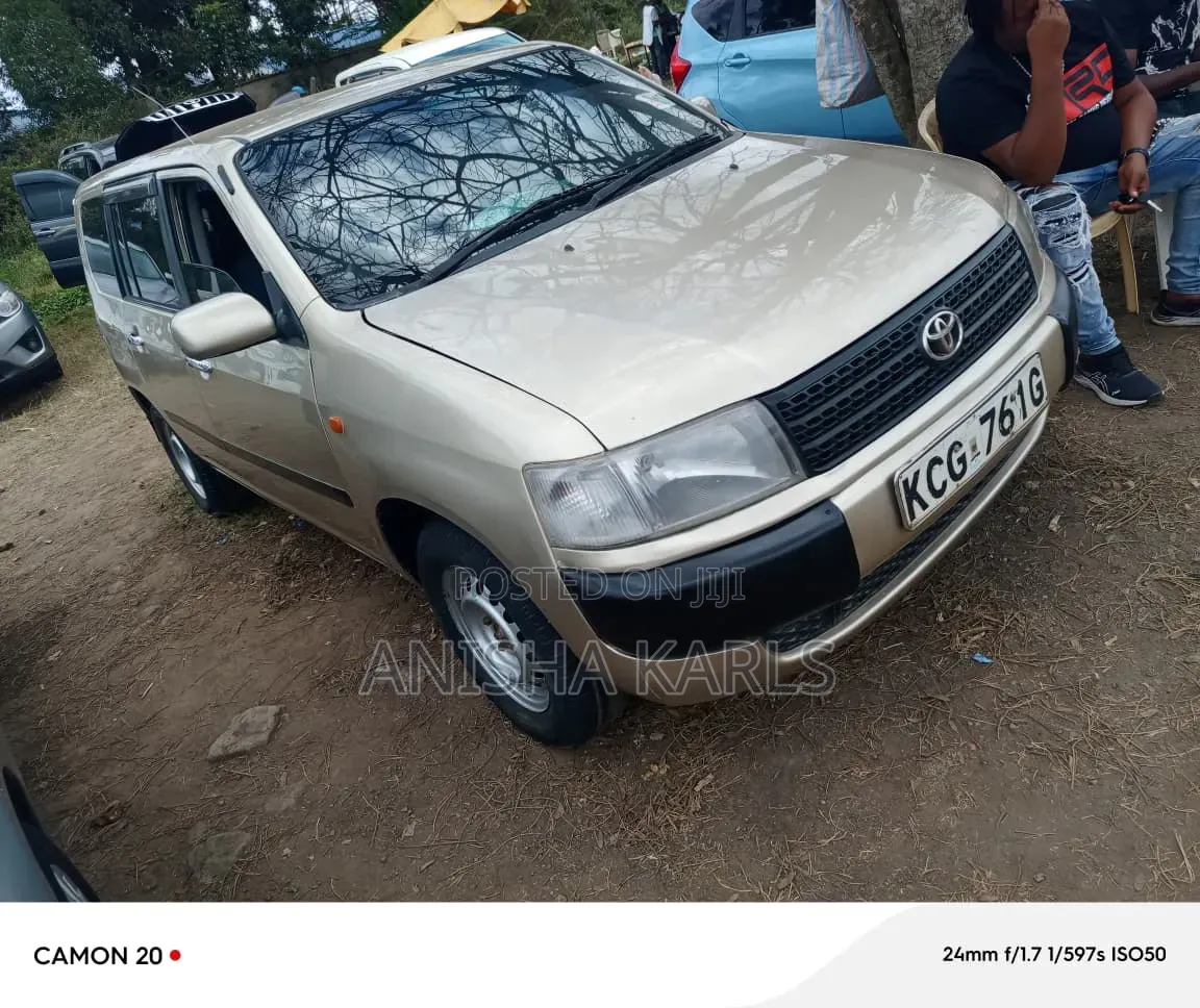 Toyota Probox 2008 Beige