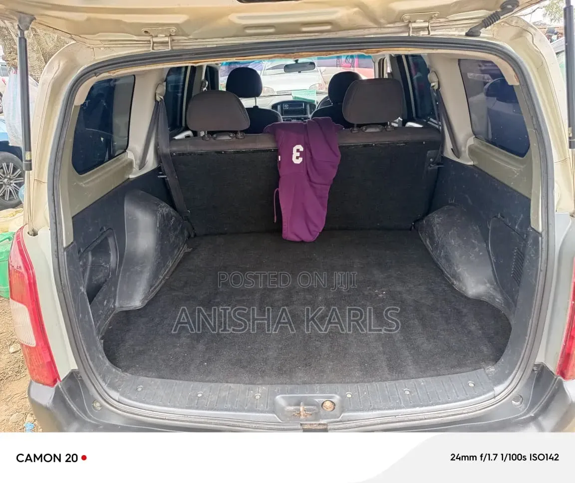 Toyota Probox 2008 Beige
