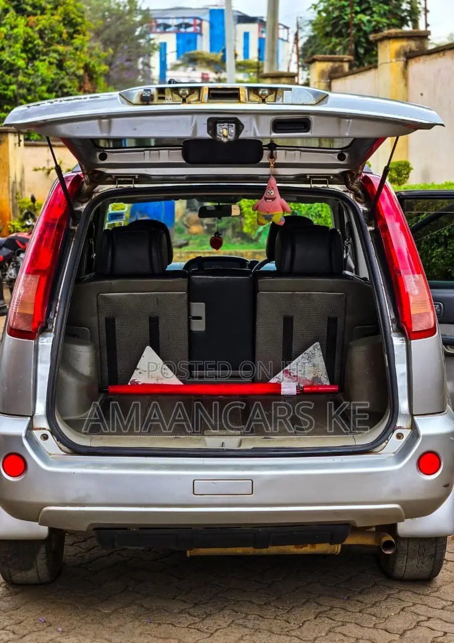 Nissan X-Trail 2.0 2006 Silver
