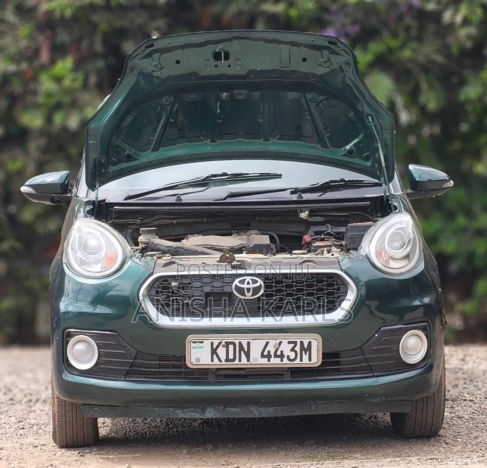 Toyota Passo 2016 Green