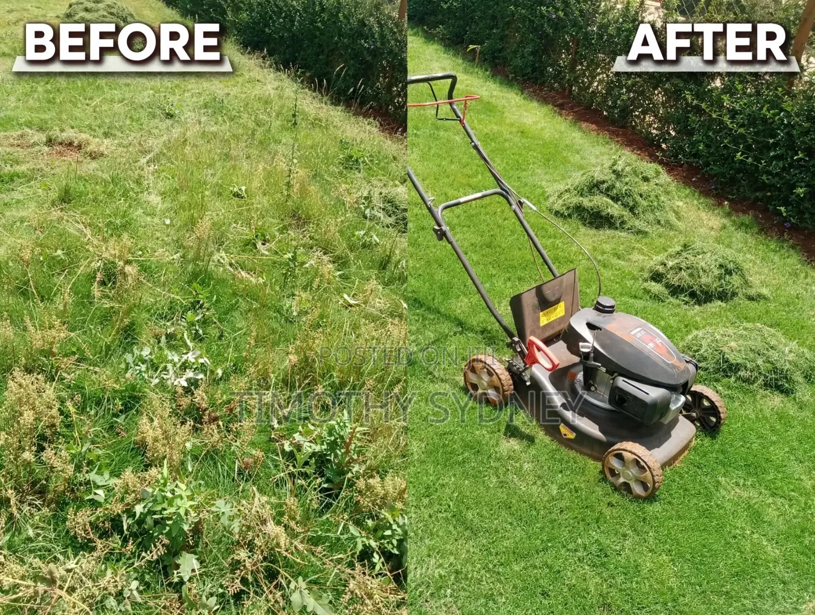 Gardener/Compound Care