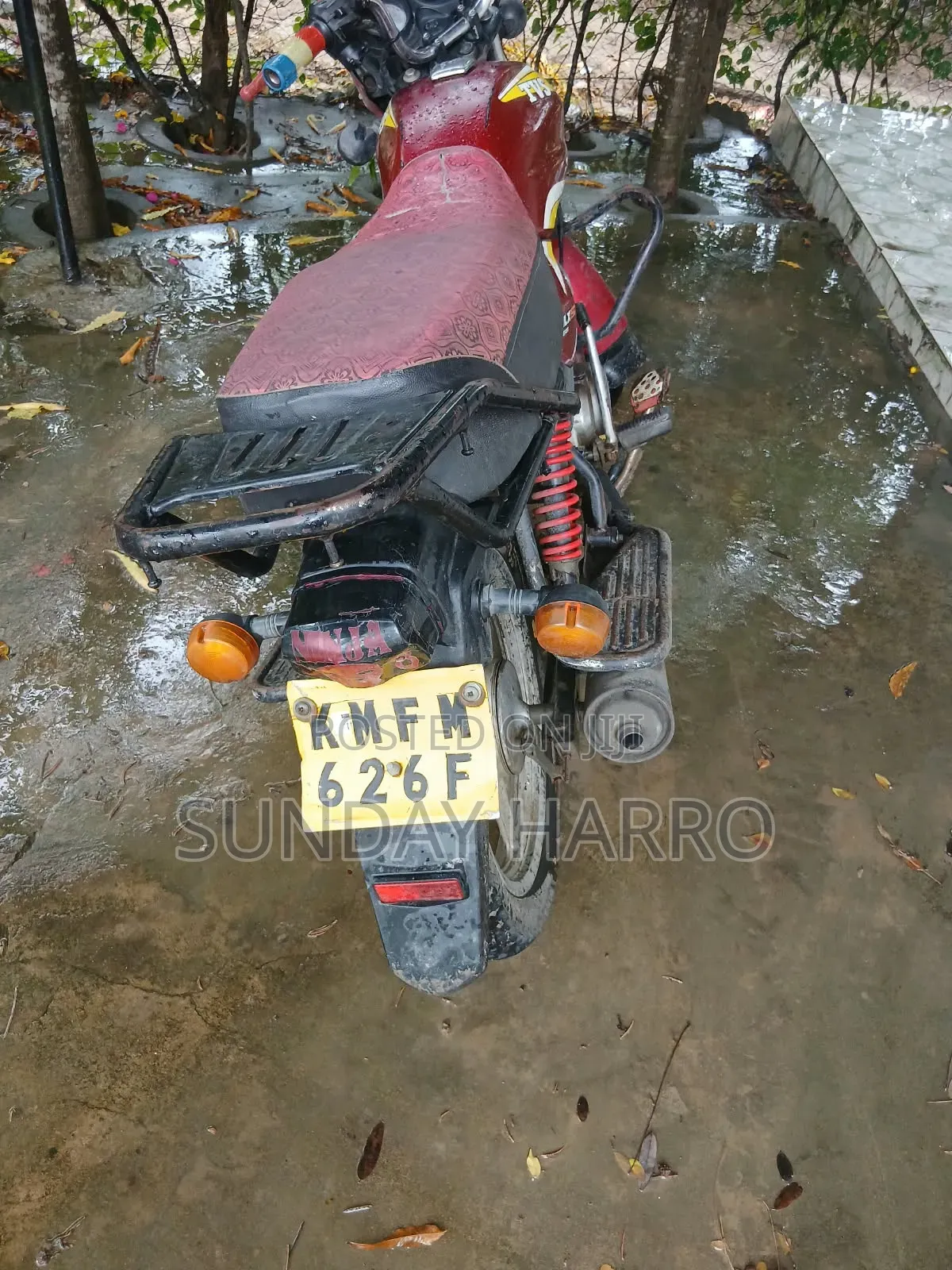 TVS 2019 Red