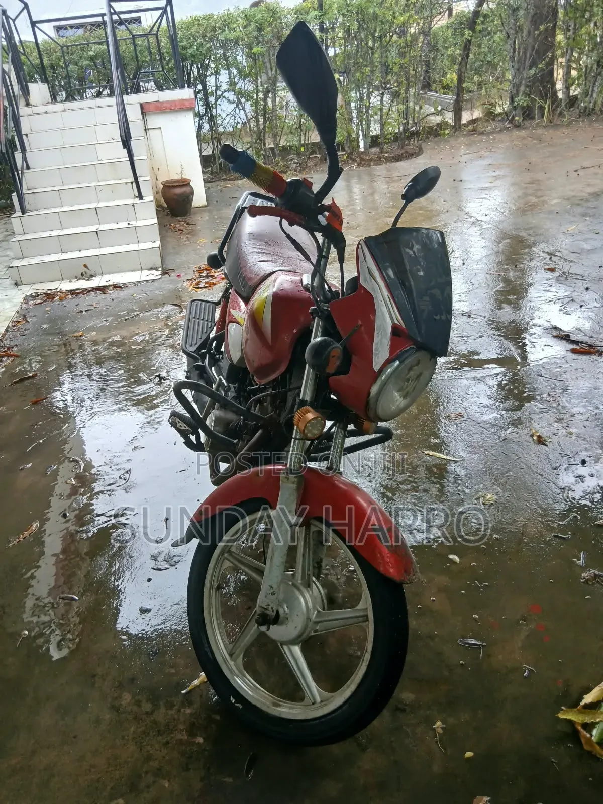 TVS 2019 Red