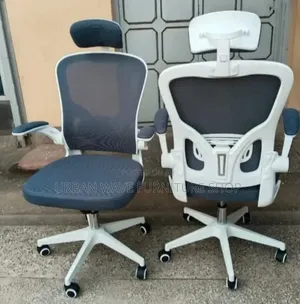 Office Heavy Duty Prof Chairs