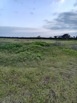 5 Acres Beachfront in Malindi