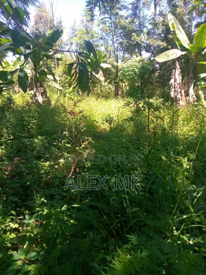 Distress Sale: 1/2 an Acre for Sale in Embu, Kithimu