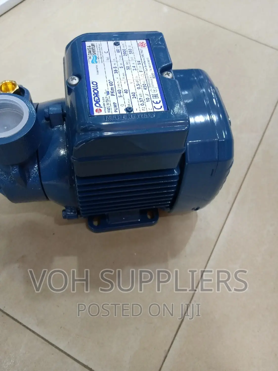 Pedrollo Water Pump