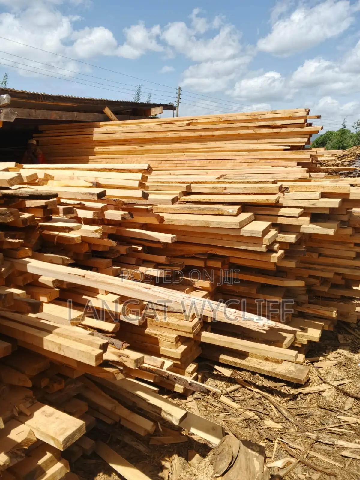 Timber for Construction