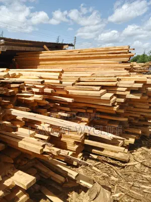 Timber for Construction