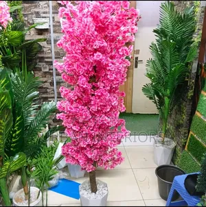 Pink and White Cherry Blossom Plant Cherry Blossom Plant