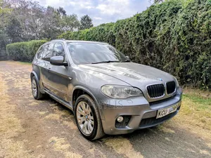 BMW X5 2012 Gray