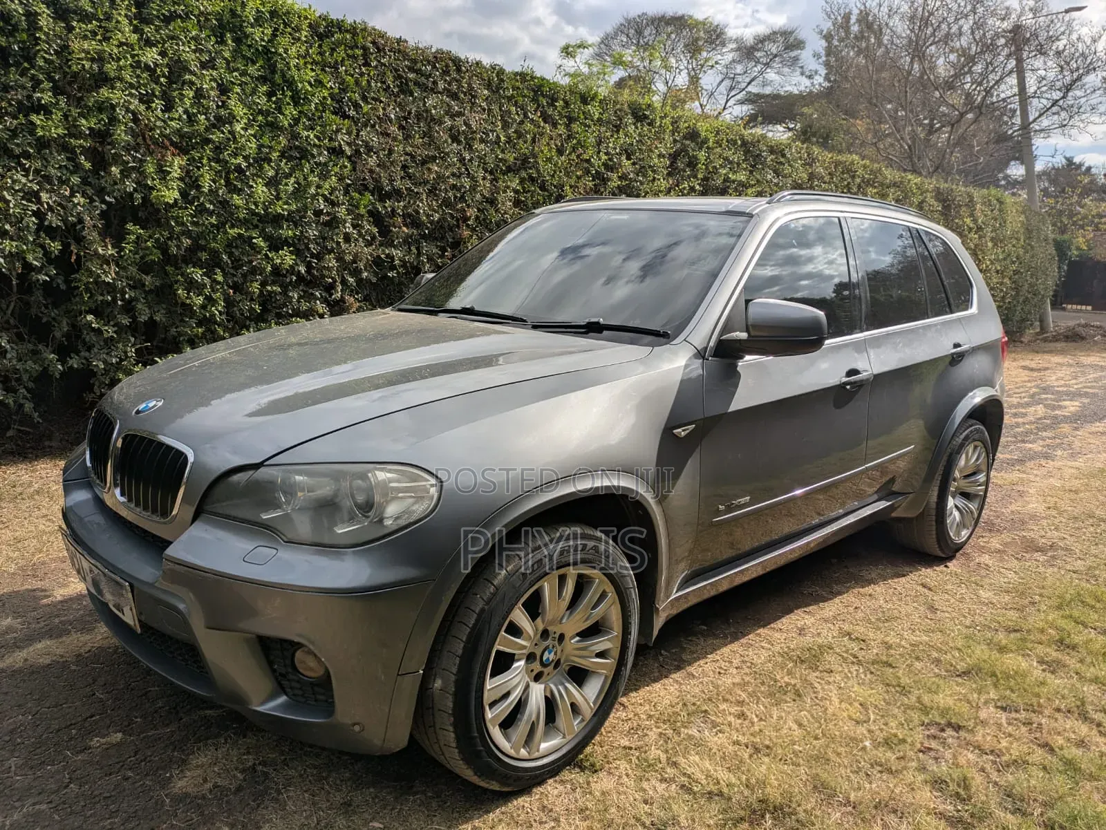 BMW X5 2012 Gray