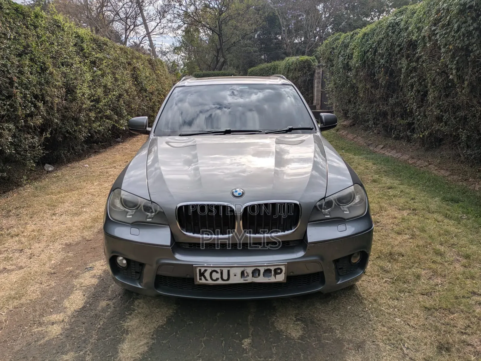 BMW X5 2012 Gray