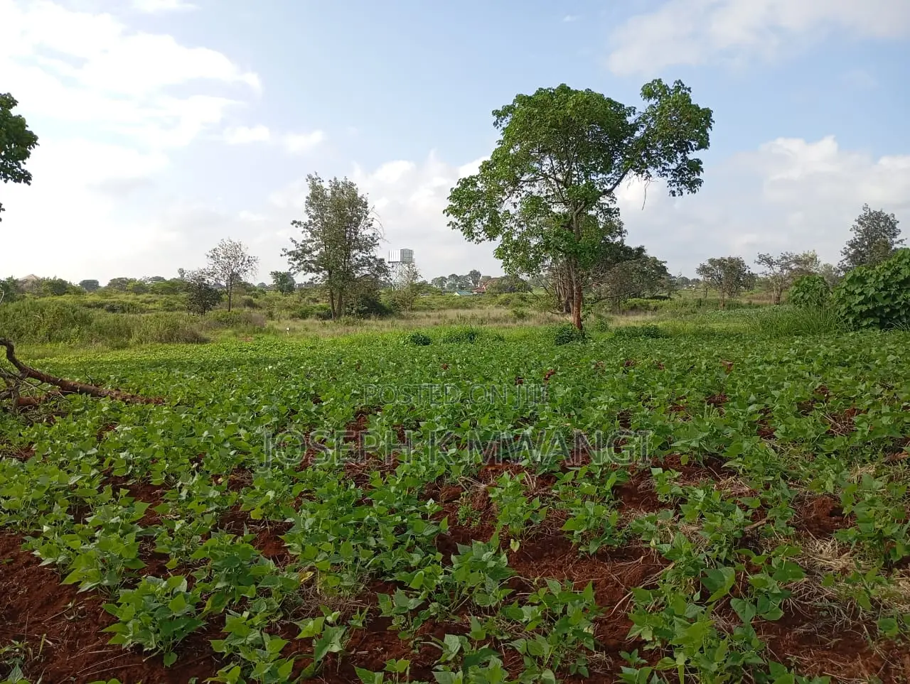 Thika Greens Phase 3 High Class Residential 1⁄4 Plots