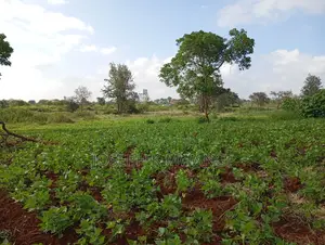 Thika Greens Phase 3 High Class Residential 1⁄4 Plots