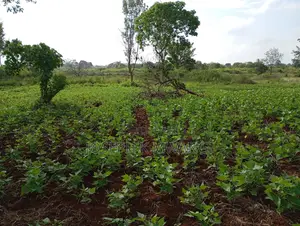 Thika Greens Phase 3 High Class Residential 1⁄4 Plots