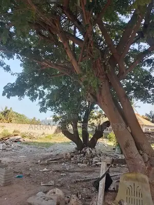 100*100 Plot in Sunpark Malindi Going for 6m