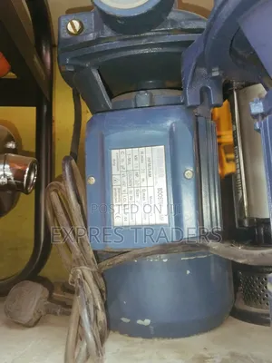 High Power  Cevada ( Italy) 2" Booster Pump
