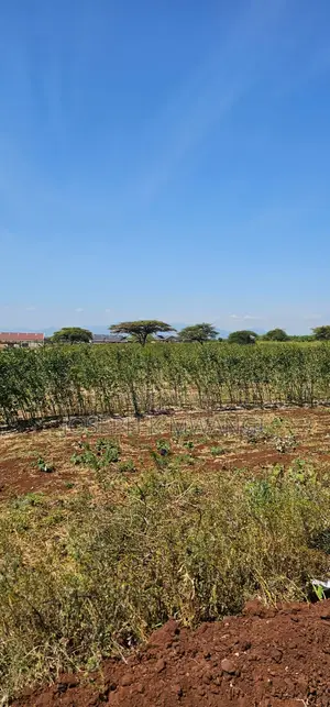 7 Acres Along Meru Ruiri Isiolo Rd Touching Tarmac