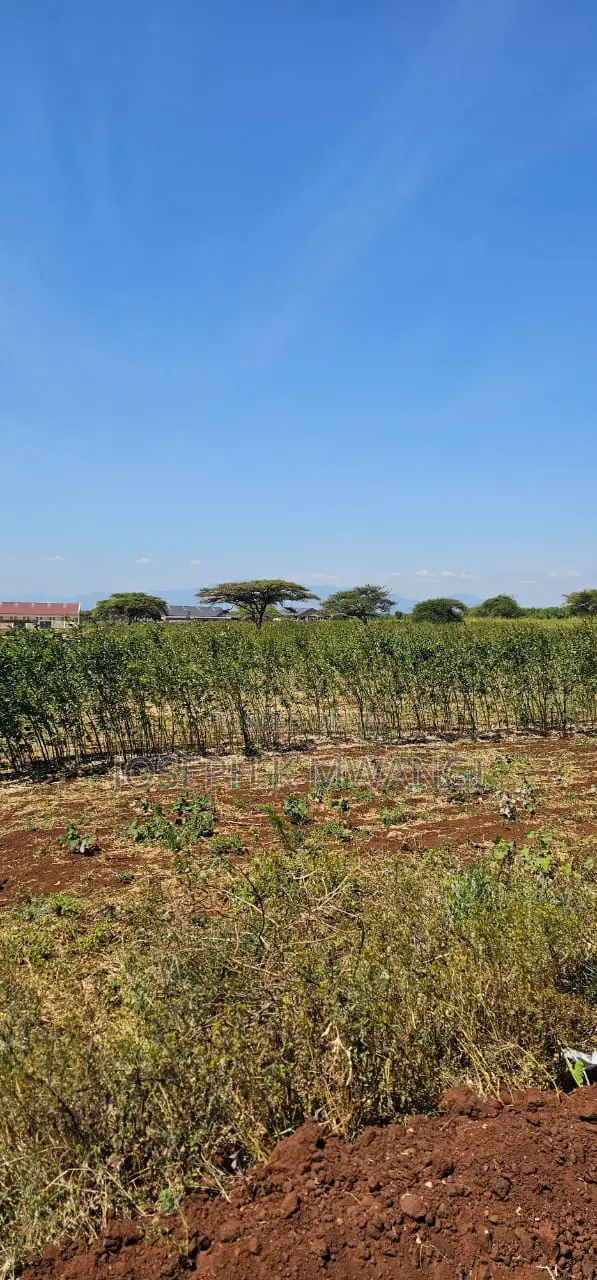 7 Acres Along Meru Ruiri Isiolo Rd Touching Tarmac